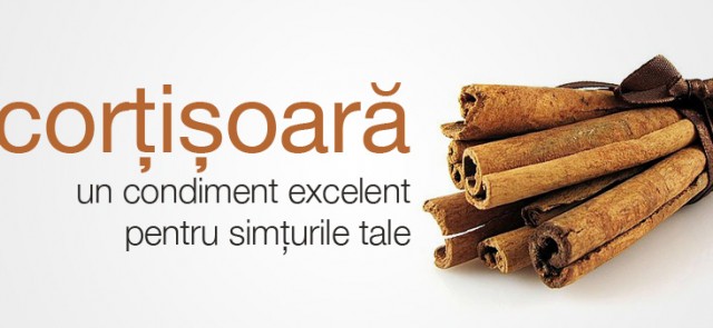 sapunnatural-scortisoara_slider