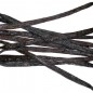 Pastai Vanilie Bourbon Madagascar2